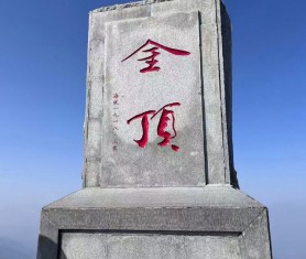 兔飛猛進(jìn)兆豐年，用團(tuán)建喚醒團(tuán)隊(duì)活力